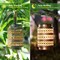 2Pcs Solar Lantern Outdoor LED Hanging Lantern Light Garden Decoration for Patio